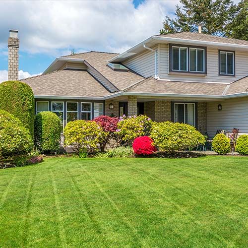 Trenchless Pipe Repairs Farmington - We Can Save Pipes, Other Companies Dig Up!